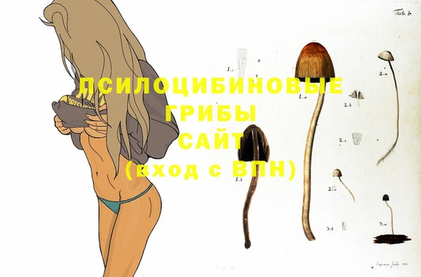 круглые Краснослободск