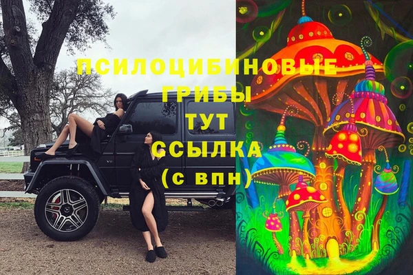 гашик Корсаков