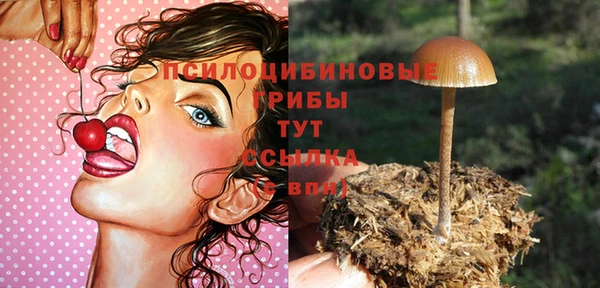 альфа пвп Красноперекопск