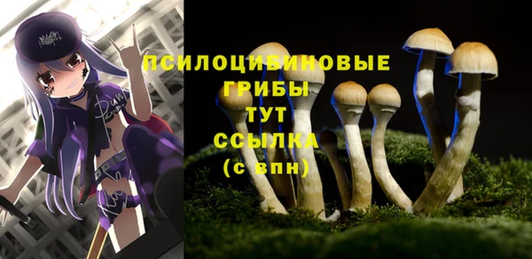 МДПВ Куйбышев