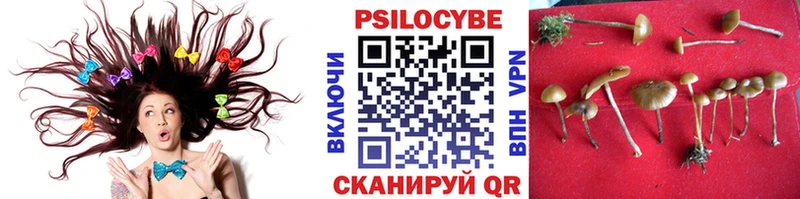 хочу наркоту  мориарти состав  Псилоцибиновые грибы GOLDEN TEACHER  Лыткарино 